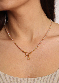 Necklace made of natural stones dendritic agate gold-plated toggle with a pendant